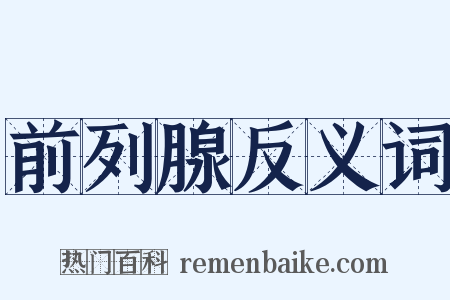 前列腺反义词是什么意思的图片